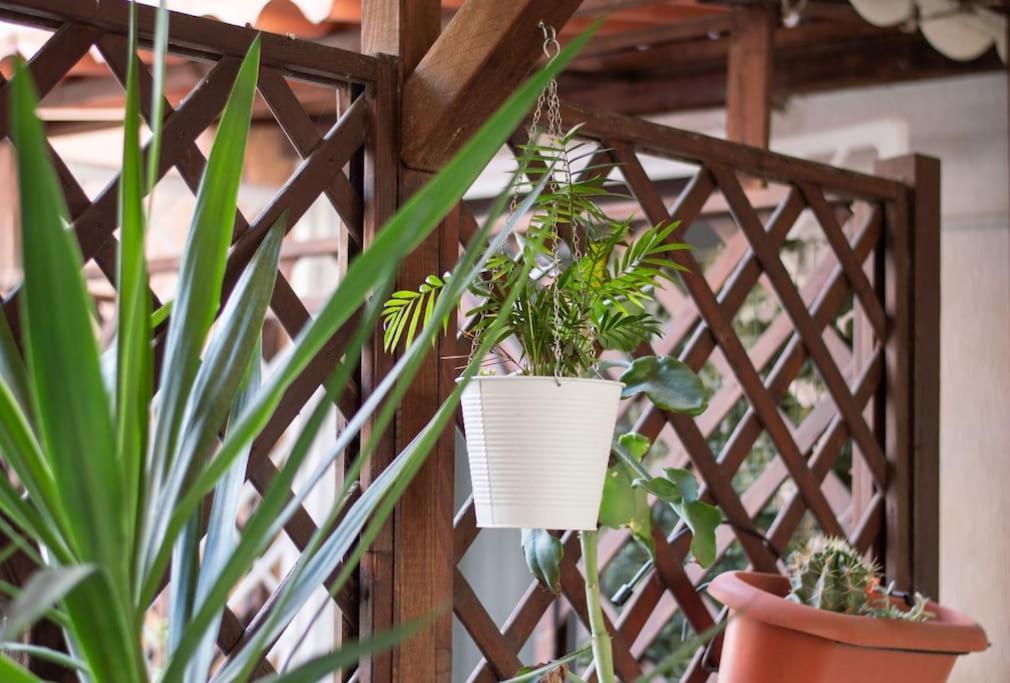 Esclusivo A Trastevere Con Terrazzo Apartment Rom
