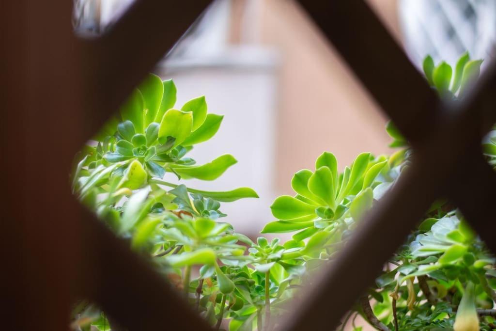 Esclusivo A Trastevere Con Terrazzo Rom