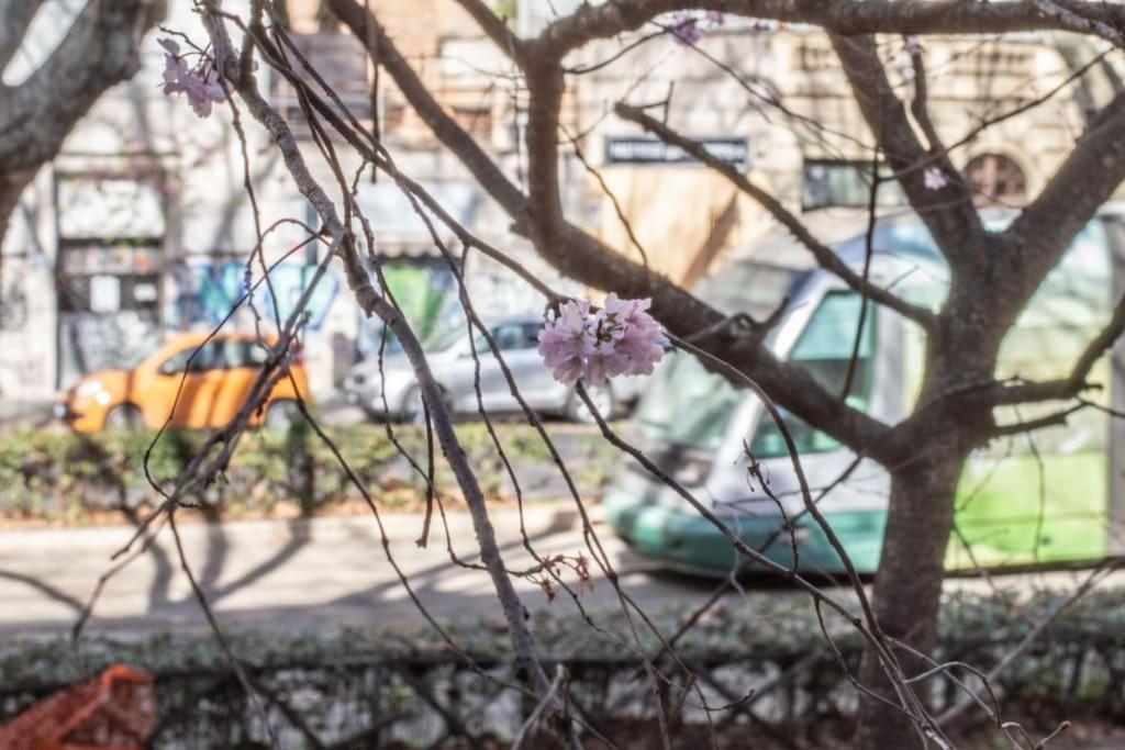 Esclusivo A Trastevere Con Terrazzo Rom
